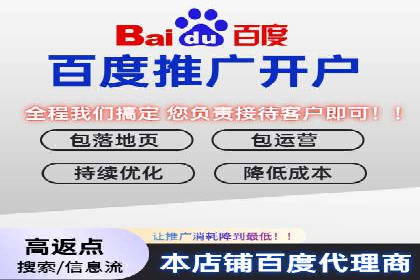 行业领先SEM服务公司案例研究